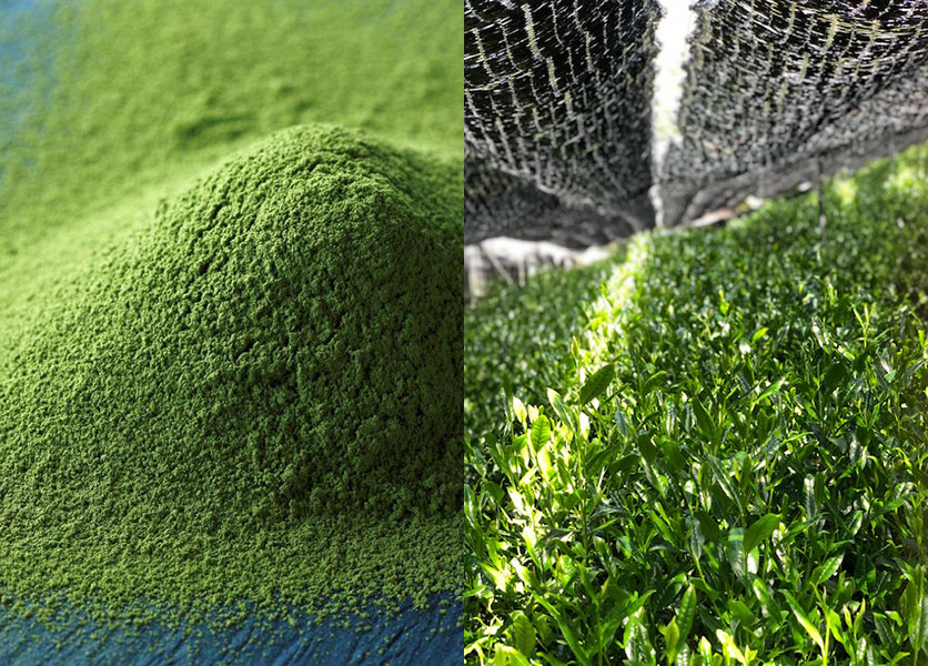 宇治抹茶